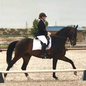 Meet your Posher, Britt